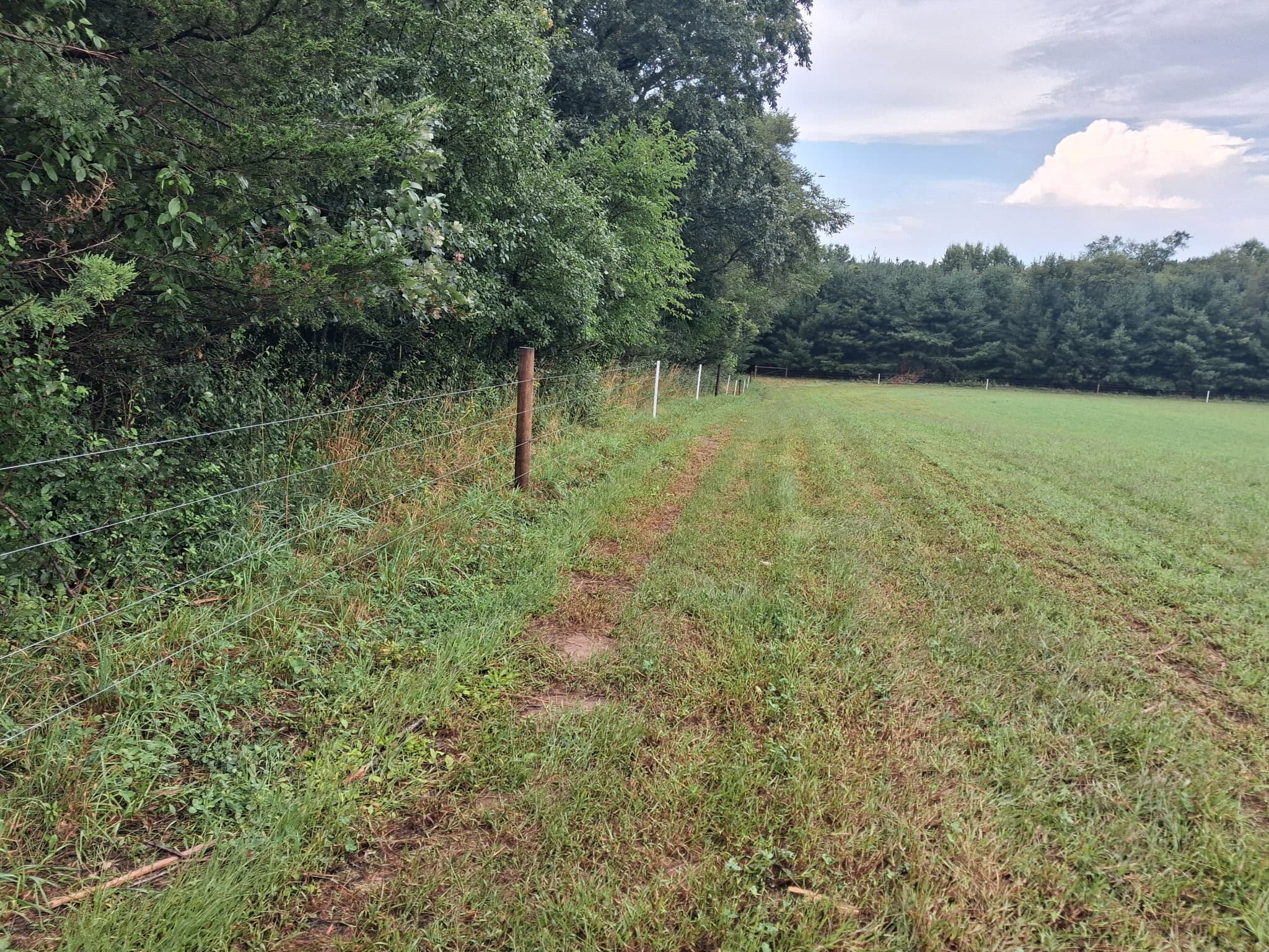 Wire fence running along the wooded edge of a green pasture.